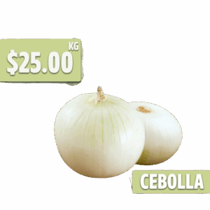 cebolla-pitico-removebg-preview.png
