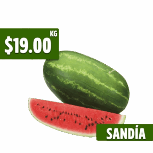 sandia-pitico-removebg-preview-1.png